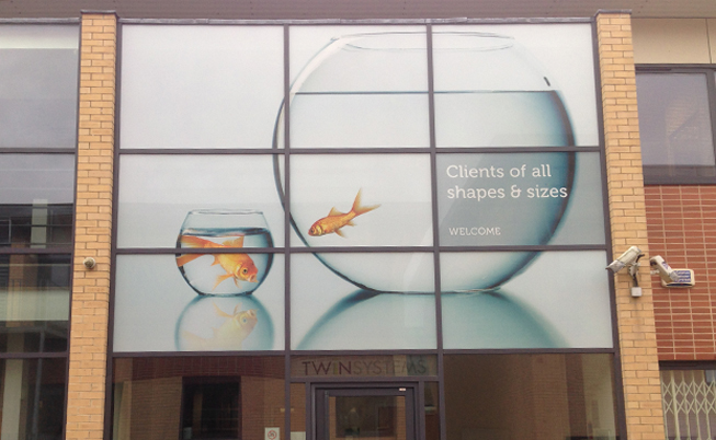 Window Graphics